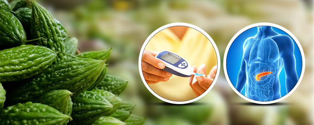 Bitter Guard: The Medicinal Fruit for Pancreatic Cancer, Diabetes & More…