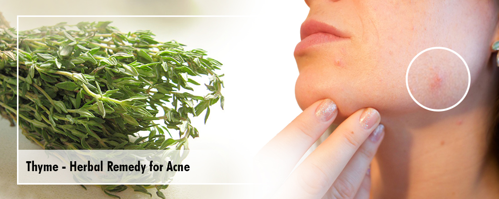 Thyme- Herbal Remedy for Acne and Other Skin Problems