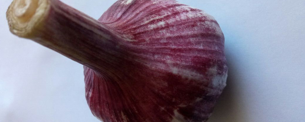 Most Vigorous and Surprising Garlic Benefits