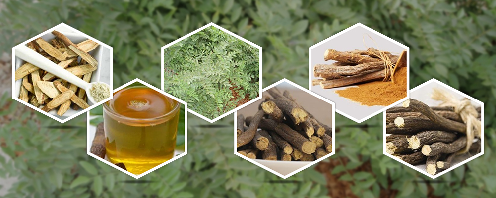 Potential Health Benefits of Licorice