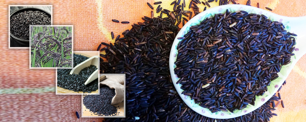 Be Wise – Choose Black Rice