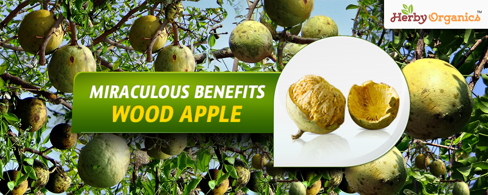 Miraculous benefits Wood Apple