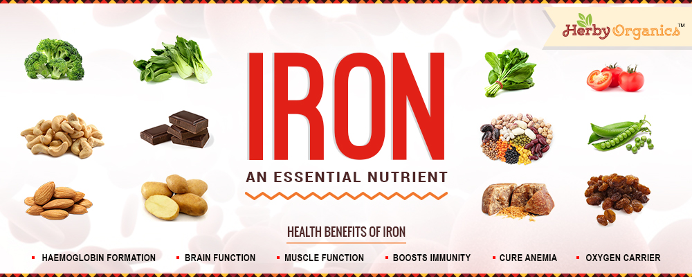 Iron: essential nutrient for Life