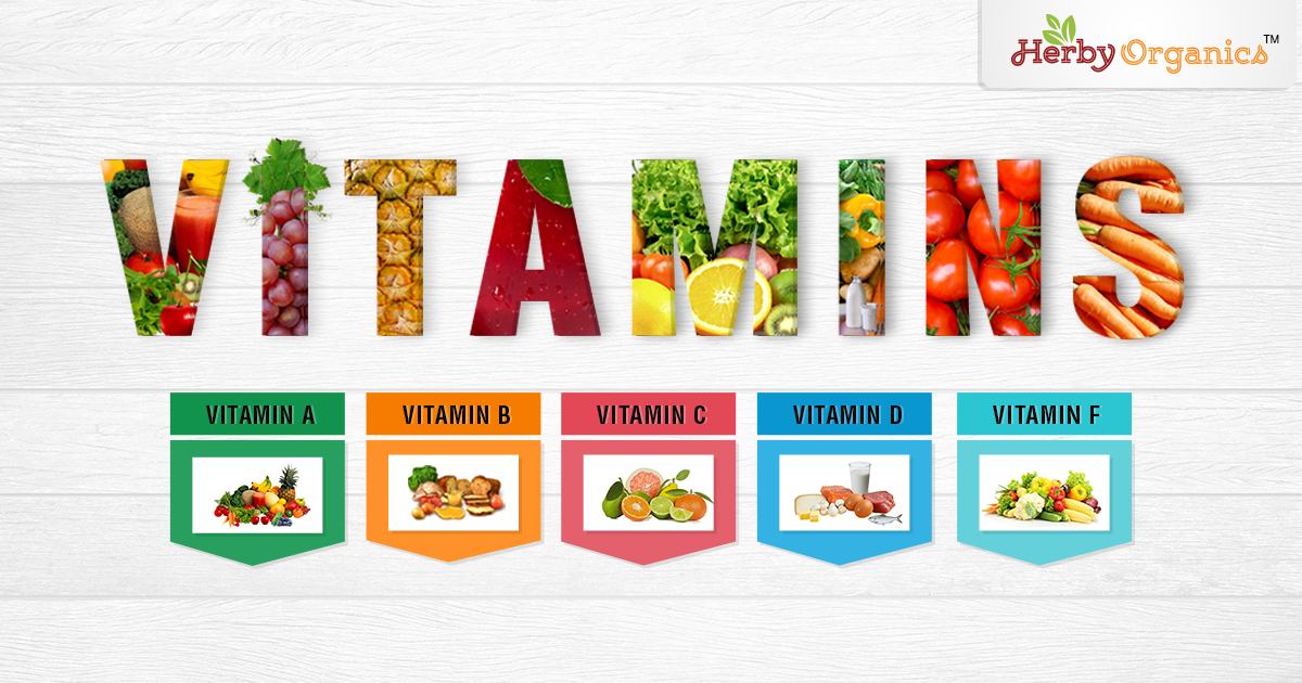 Vitamins - Essential Nutrients - Herby Organics